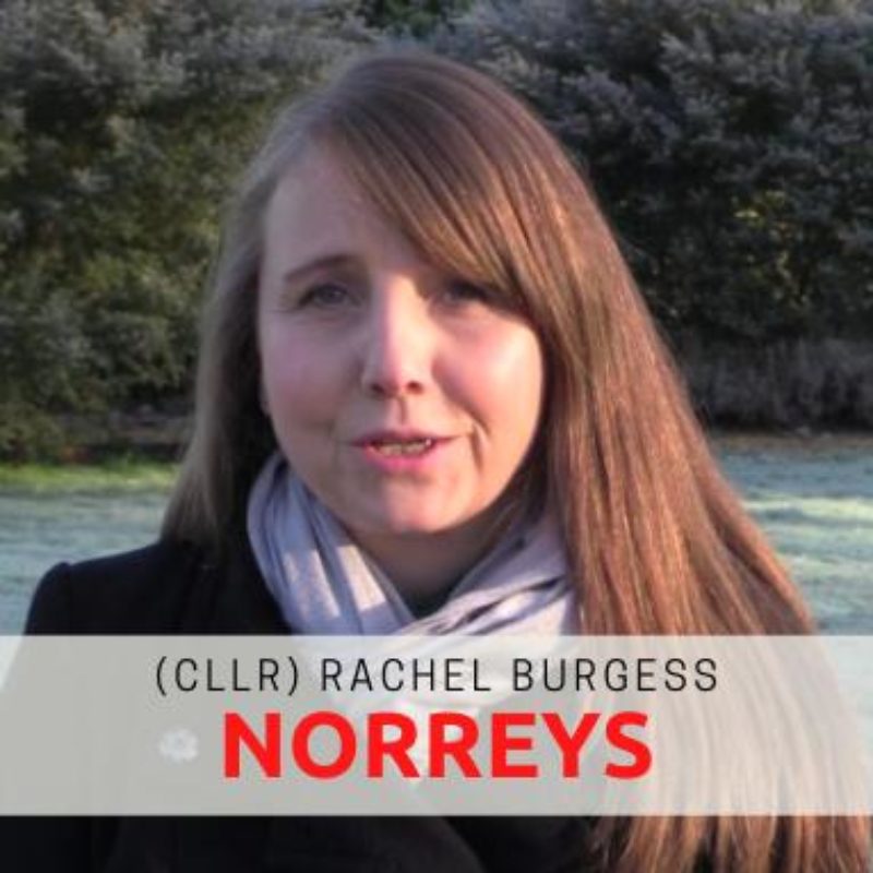 Cllr Rachel Burgess